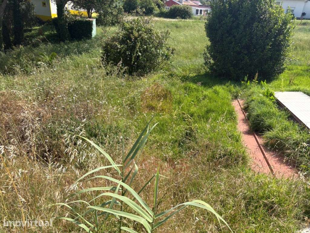 Terreno para construção no Nadadouro - Grande imagem: 3/5