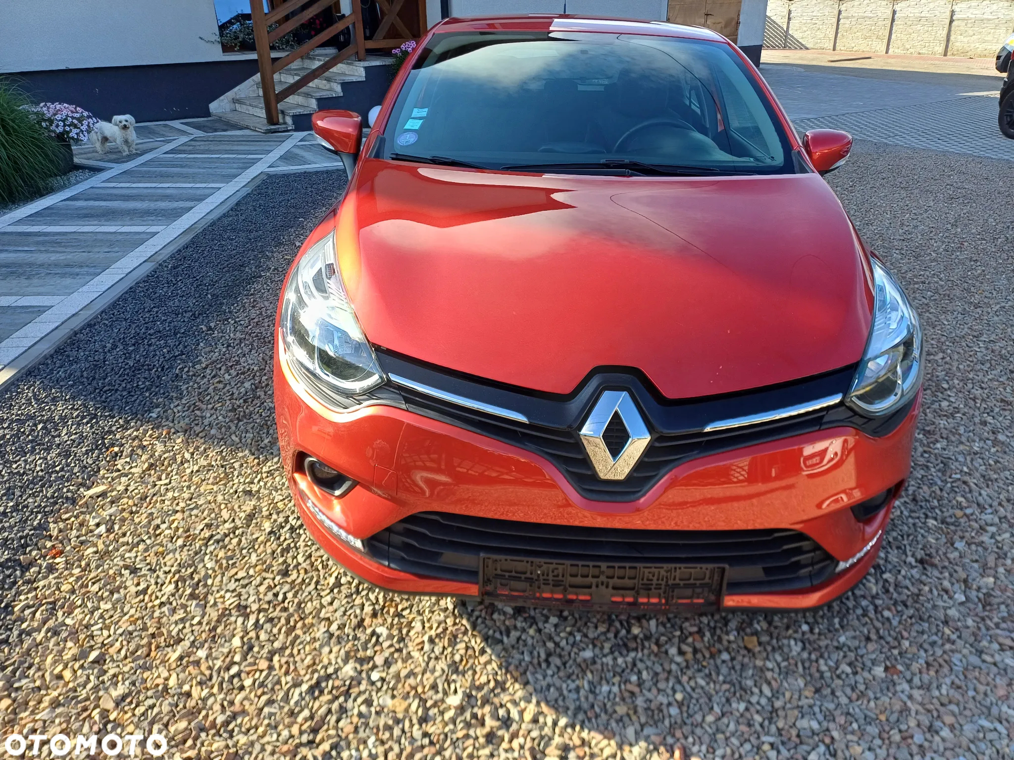 Renault Clio TCe 90 BUSINESS EDITION - 18