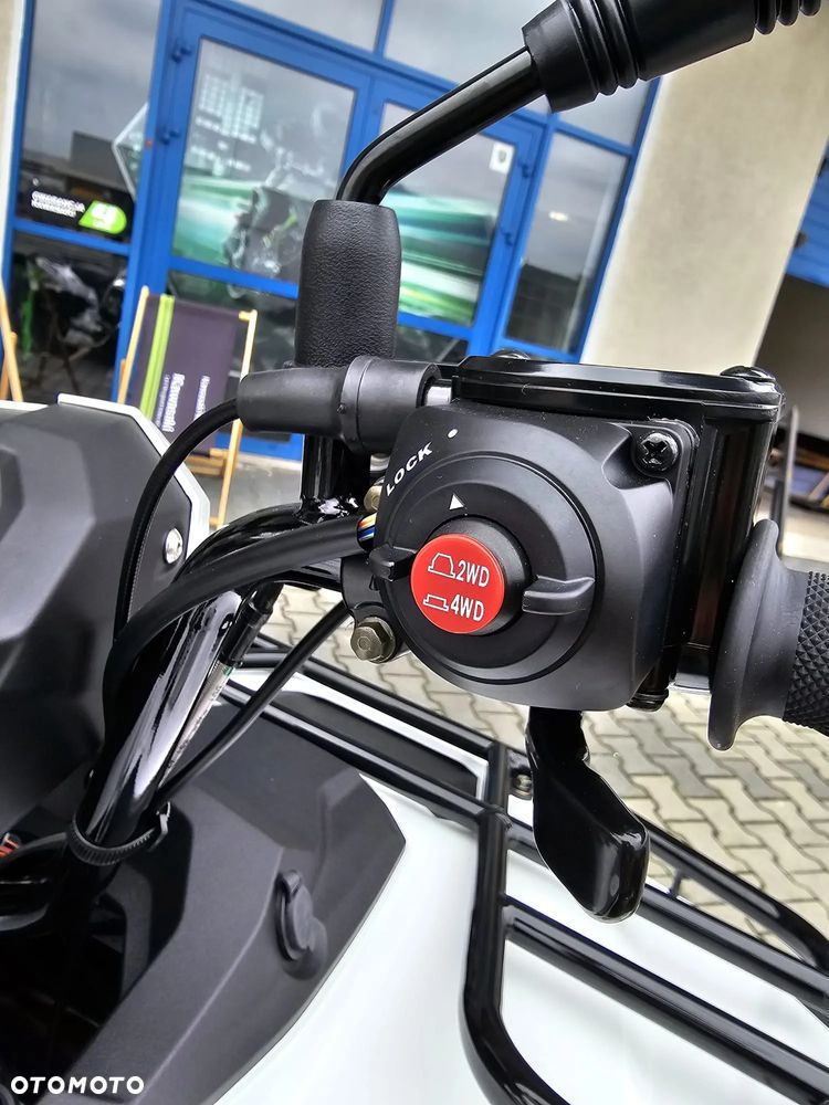 Kawasaki Brute Force - 11