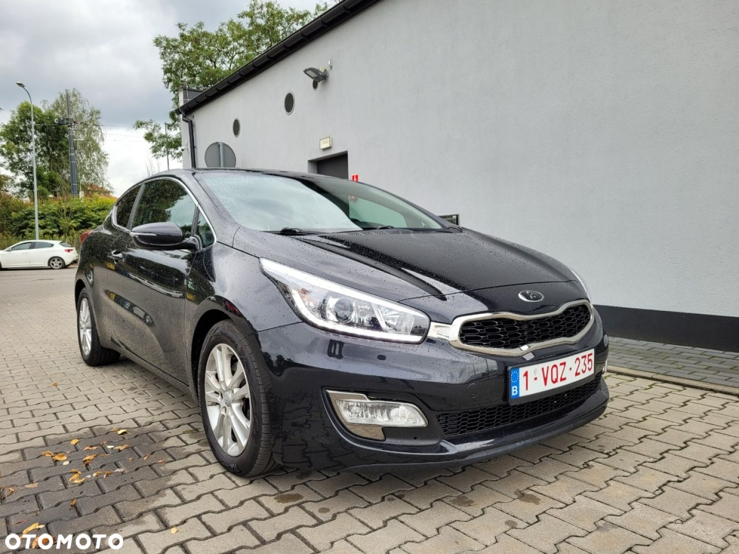 Kia ProCeed - 6