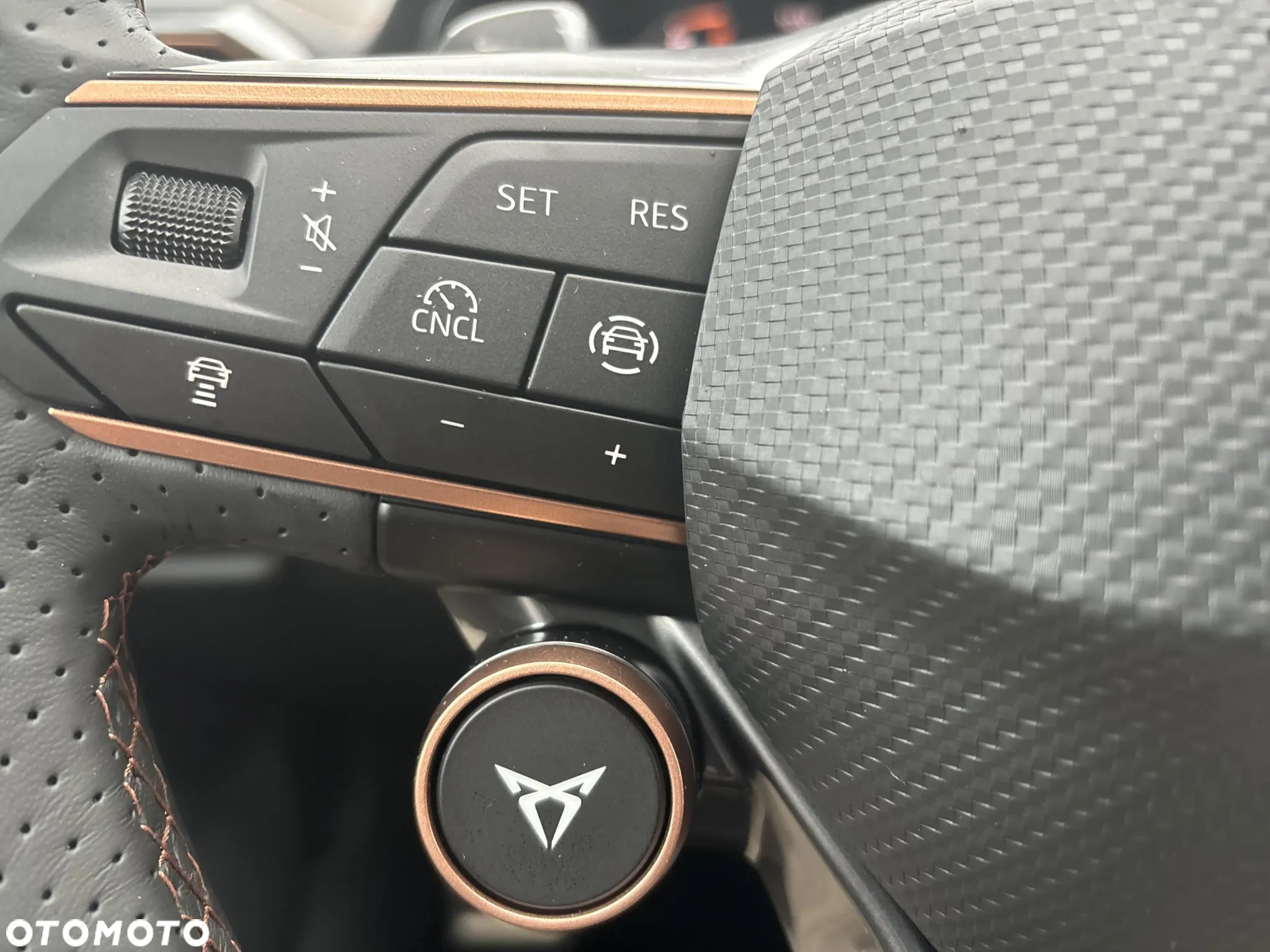Cupra Formentor 2.0 TDI DSG - 21