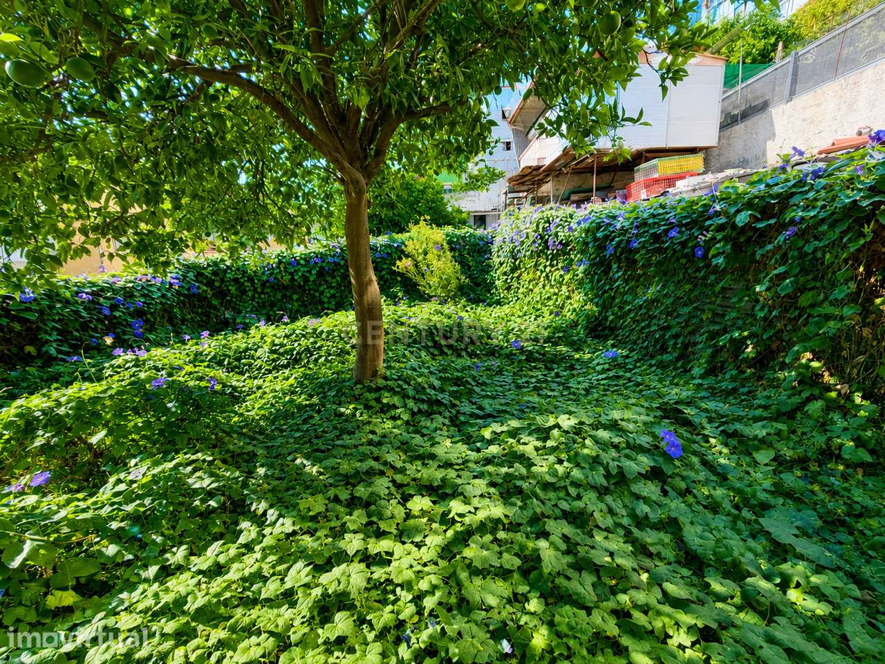 TERRENO URBANO PARA CONSTRUÇÃO | BRANDOA | AMADORA - Grande imagem: 5/10