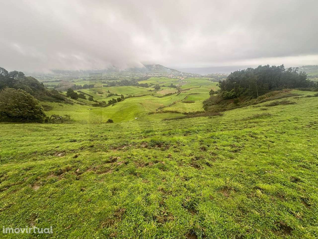 Terreno com 33.345m2 em Lomba do Pomar - Grande imagem: 2/16