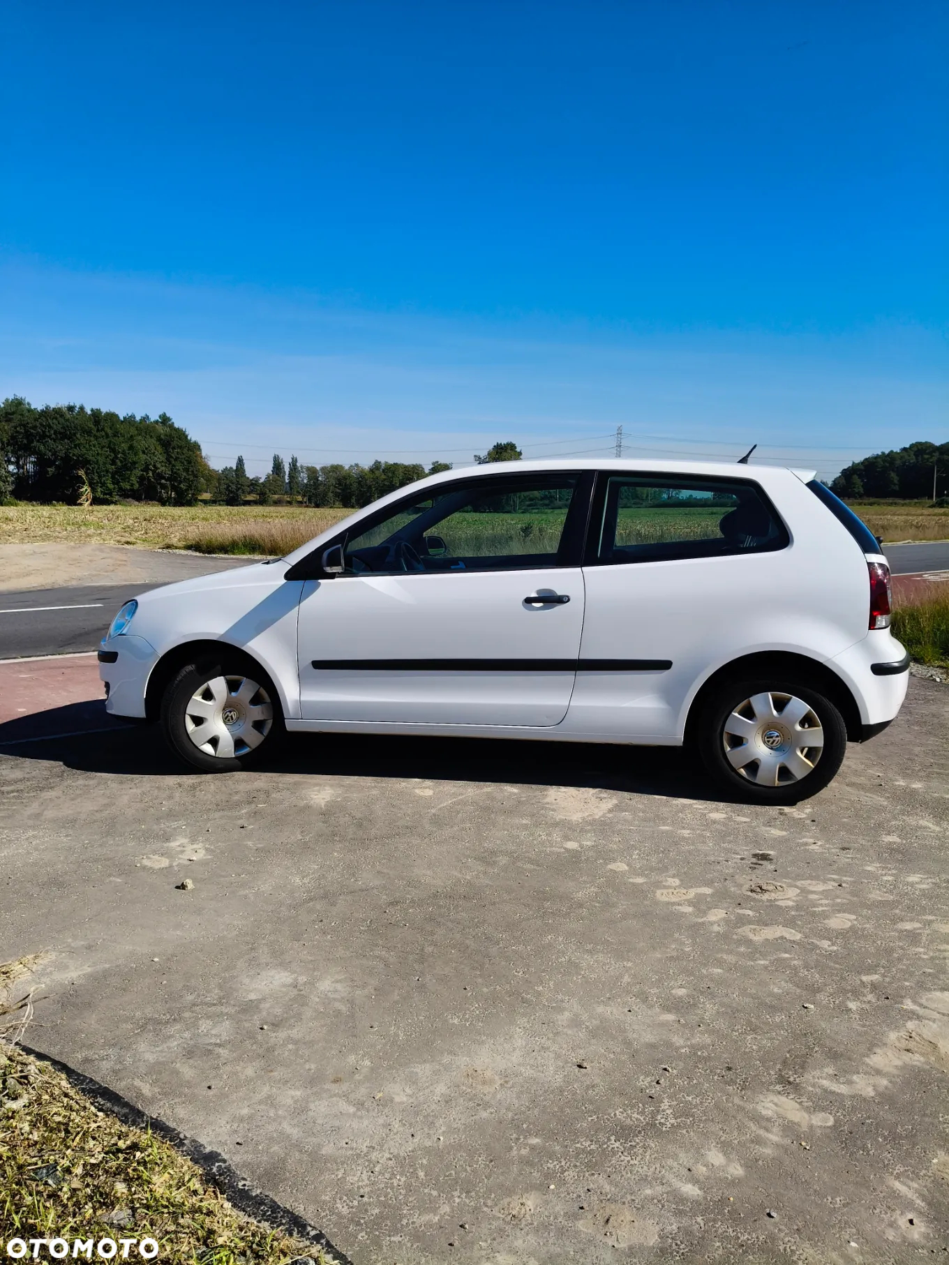 Volkswagen Polo - 15