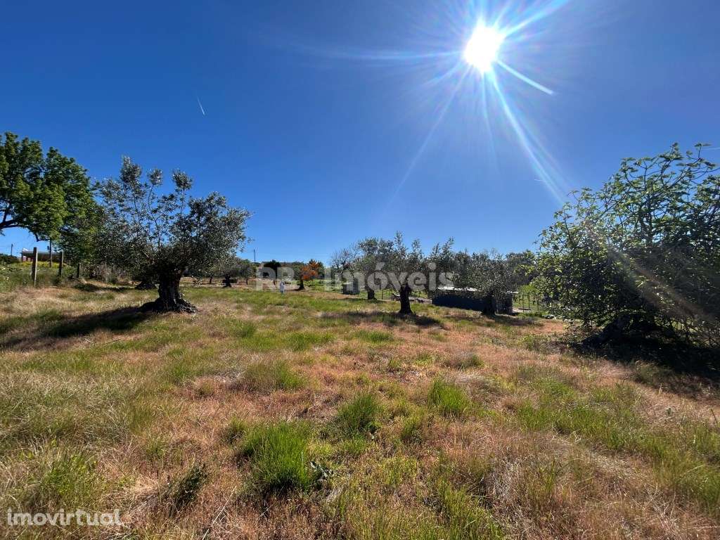 Terreno urbanizável - Carvalheiros, Tomar - Grande imagem: 5/20