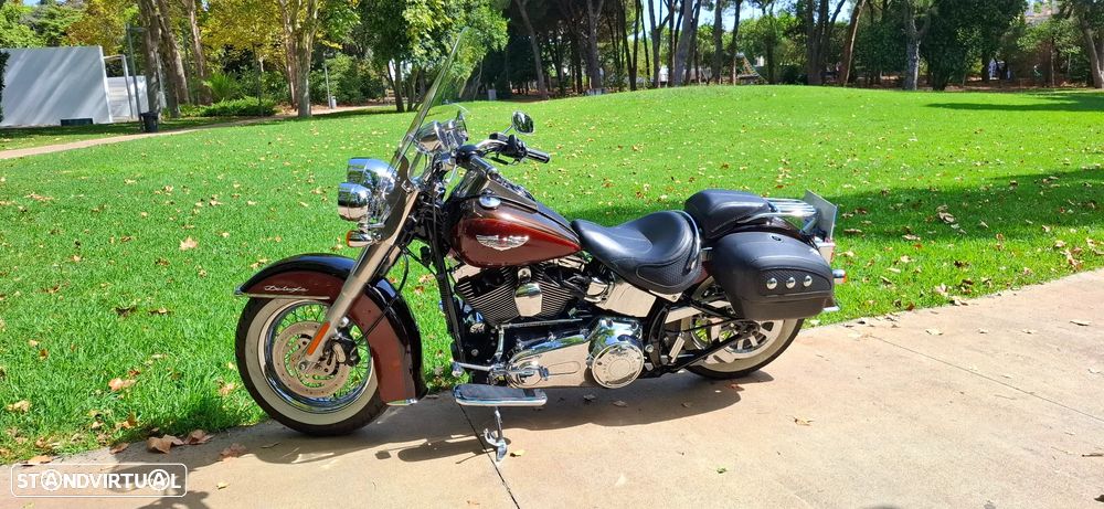 Harley-Davidson FLSTS Softail Deluxe - 9