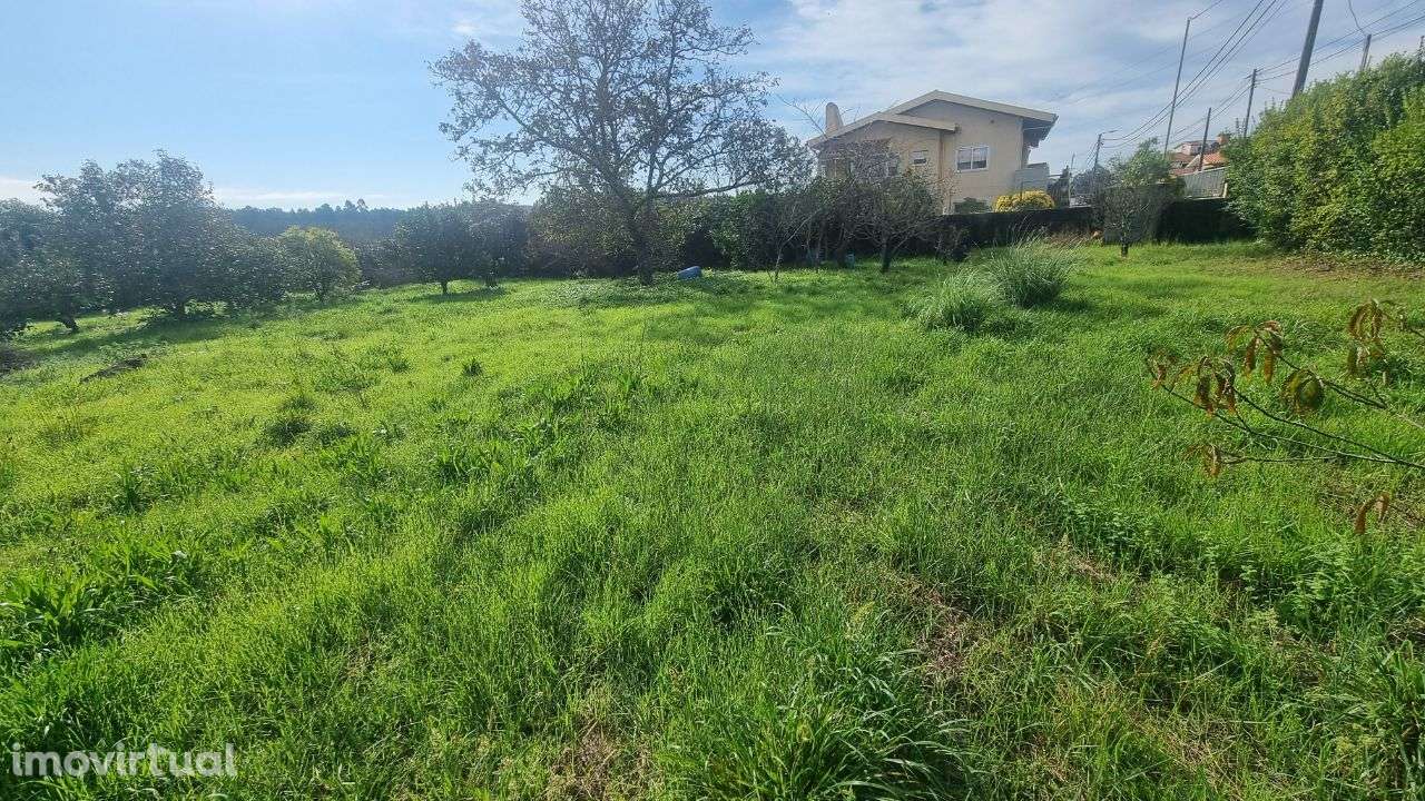 Terreno plano Nogueira da Regedoura - Grande imagem: 3/6