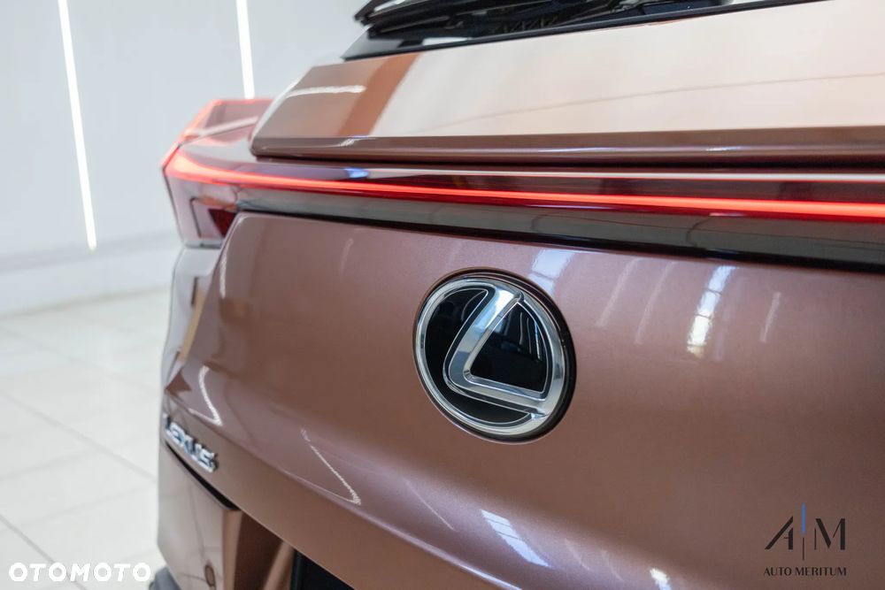 Lexus UX 300h F Sport Design AWD - 10