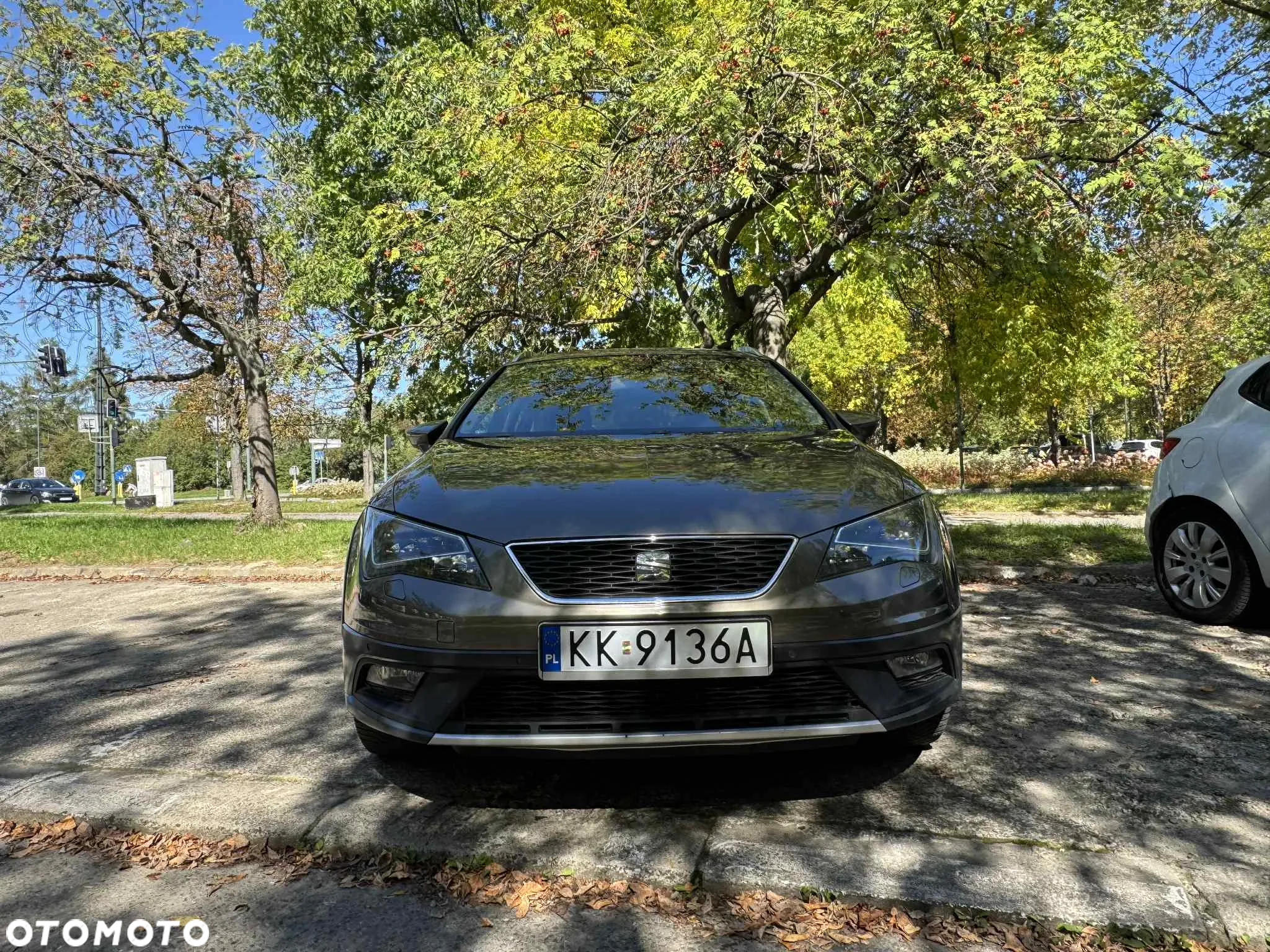 Seat Leon 2.0 TDI X-Perience S&S 4Drive DSG - 2