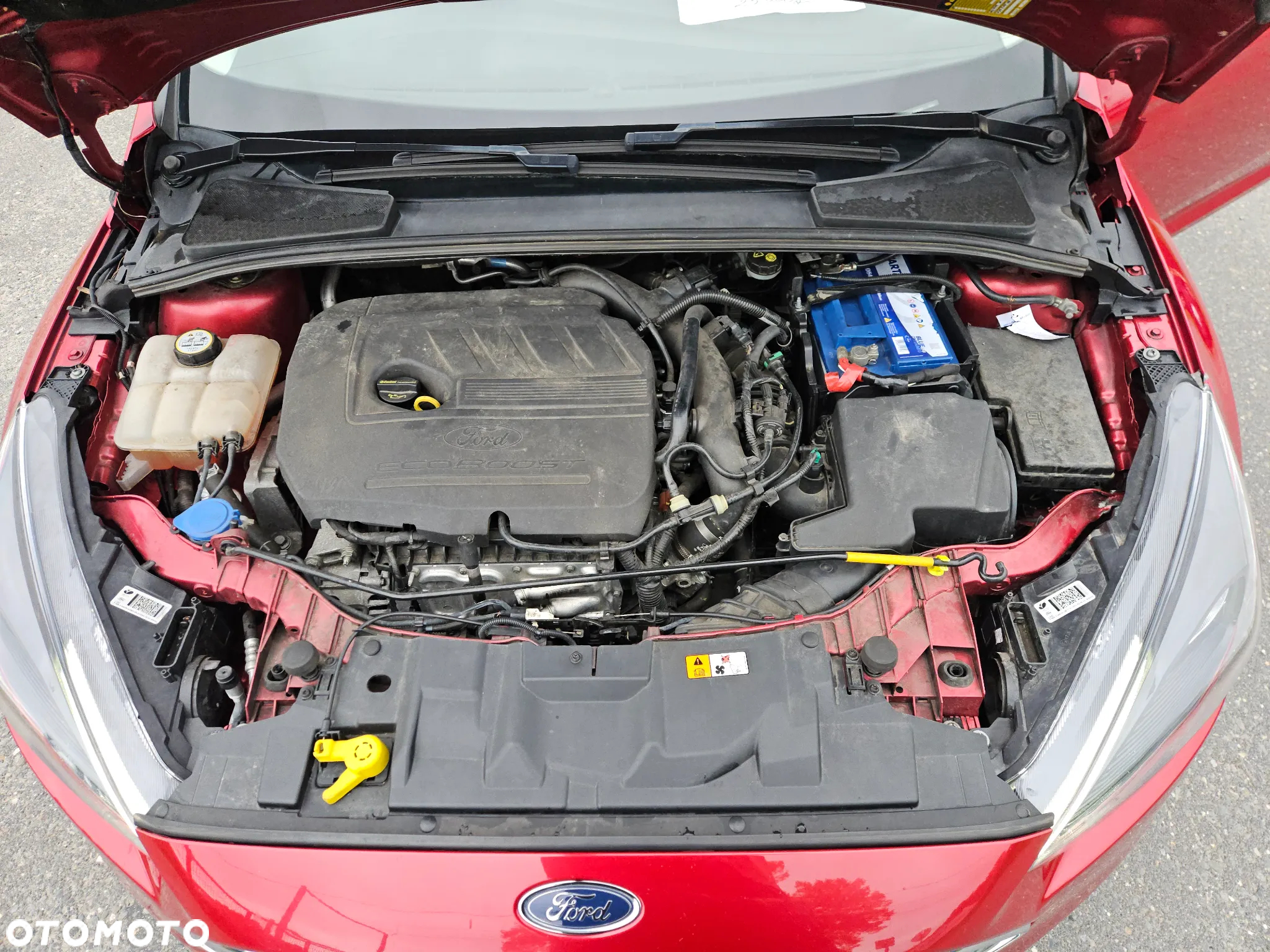 Ford Focus 1.5 EcoBoost Active - 12