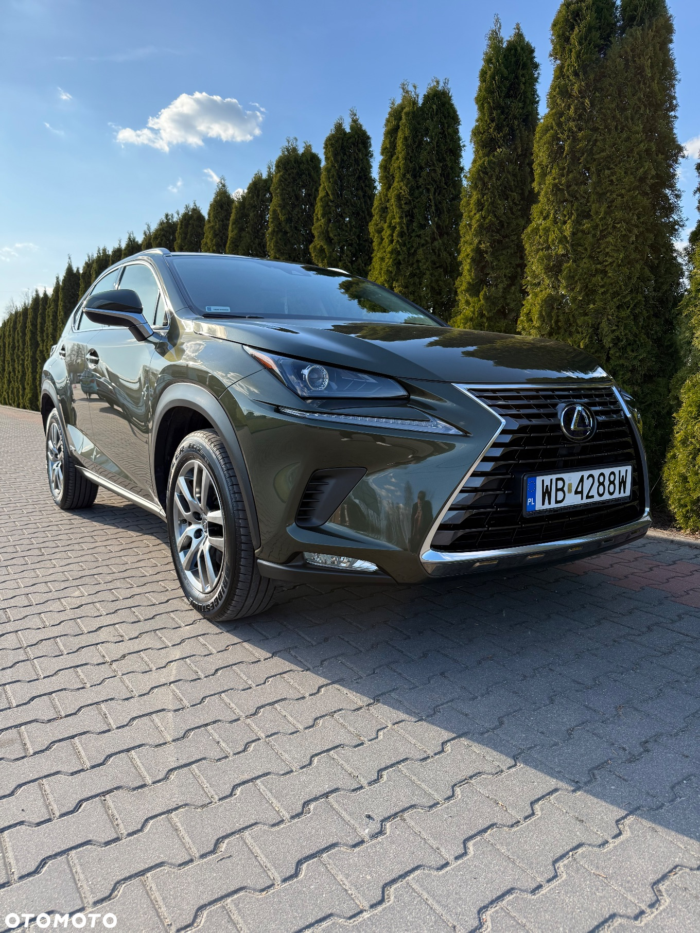 Lexus NX - 5