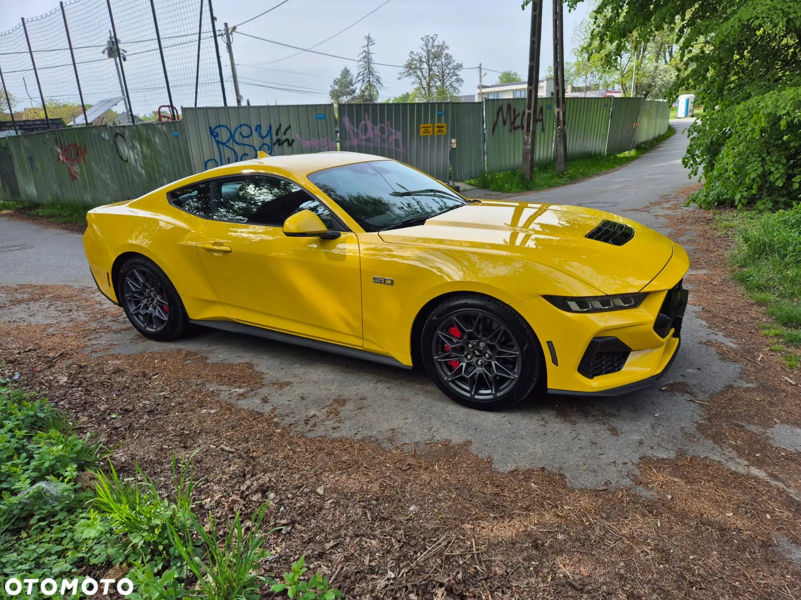 Ford Mustang Fastback 5.0 Ti-VCT V8 GT - 20