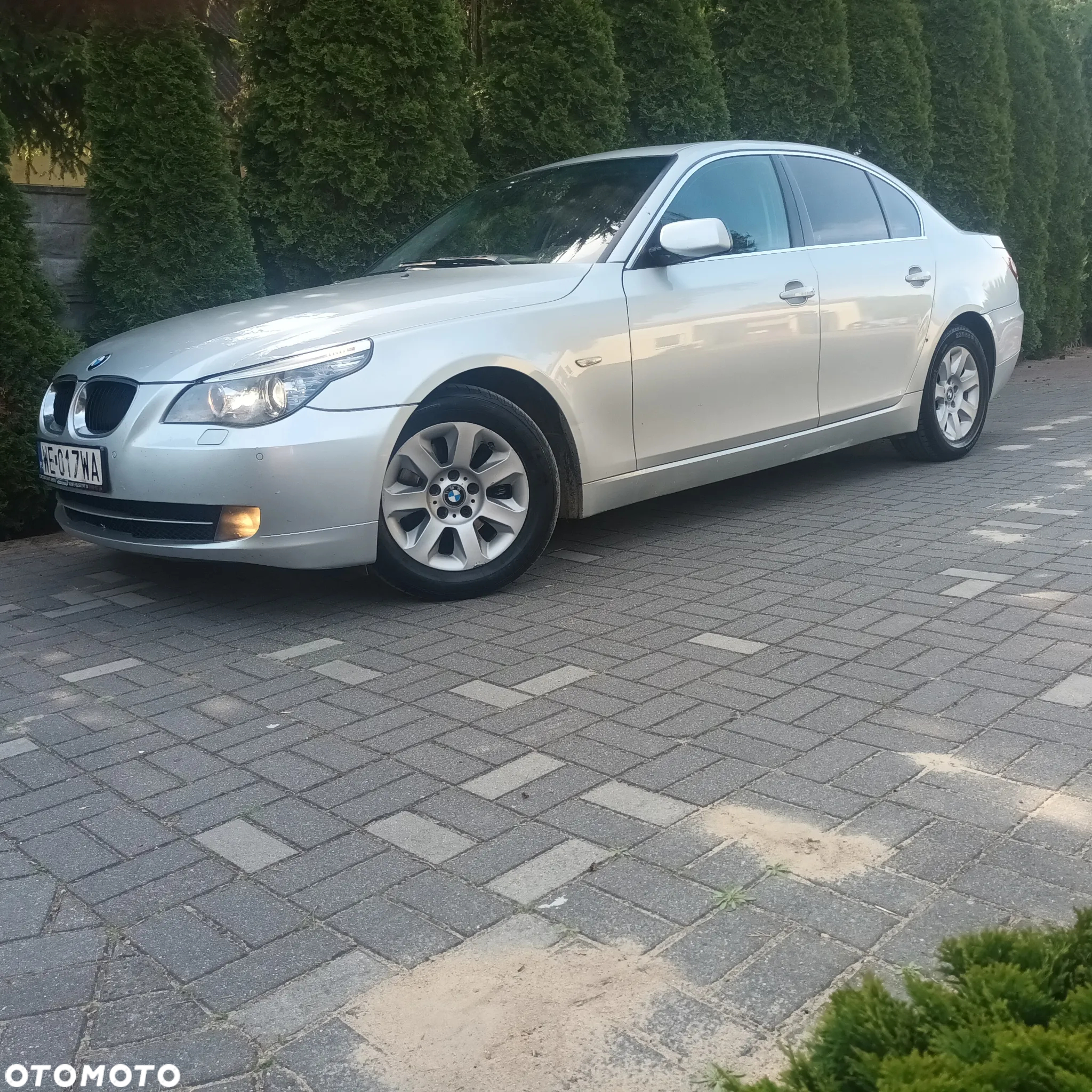 BMW Seria 5 - 11