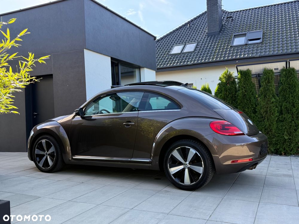 Volkswagen Beetle - 11