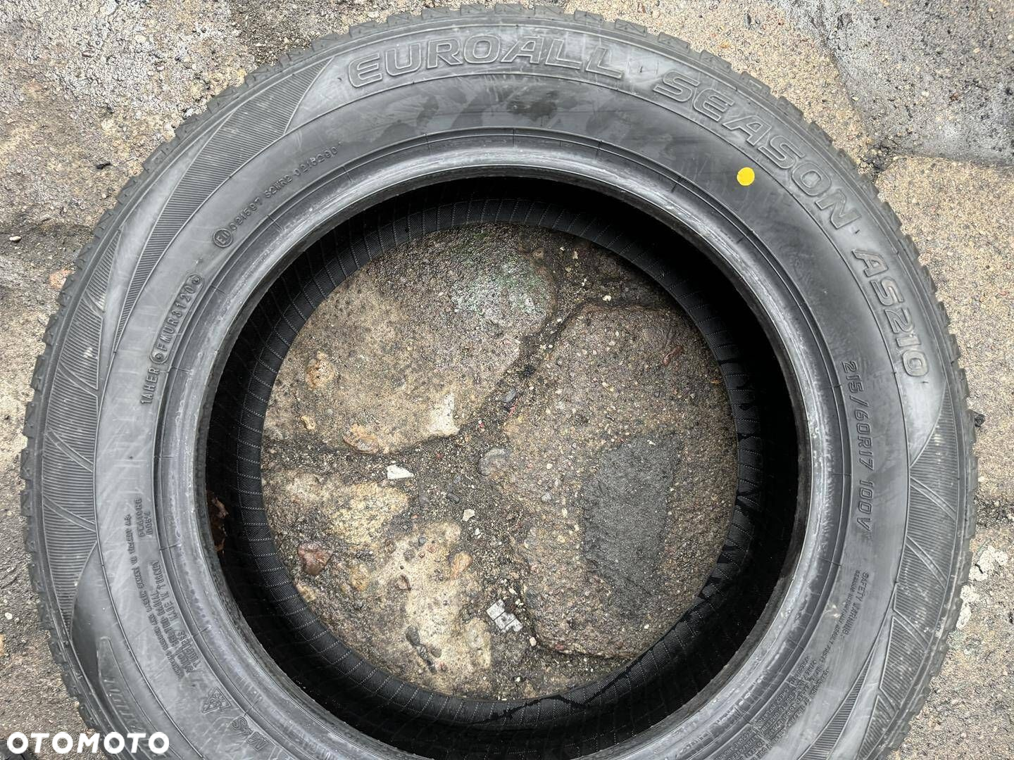 215/60R17 Falken Euroall Season AS210 para opon całoroczne - 5