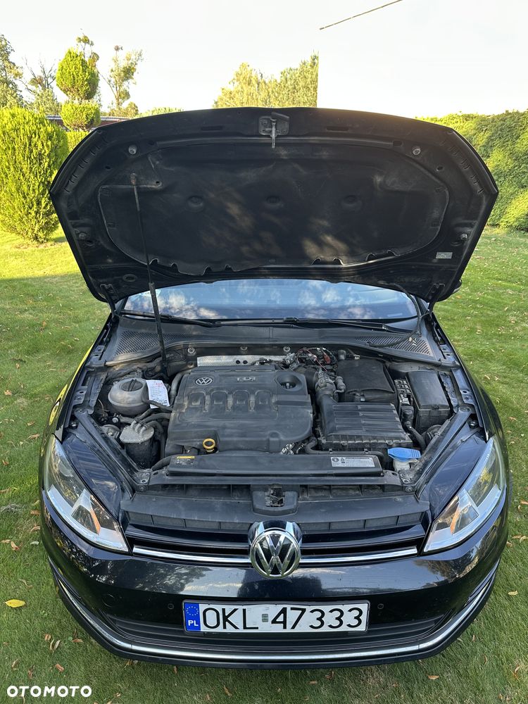 Volkswagen Golf Variant 1.6 TDI BlueMotion Technology DSG Lounge - 12
