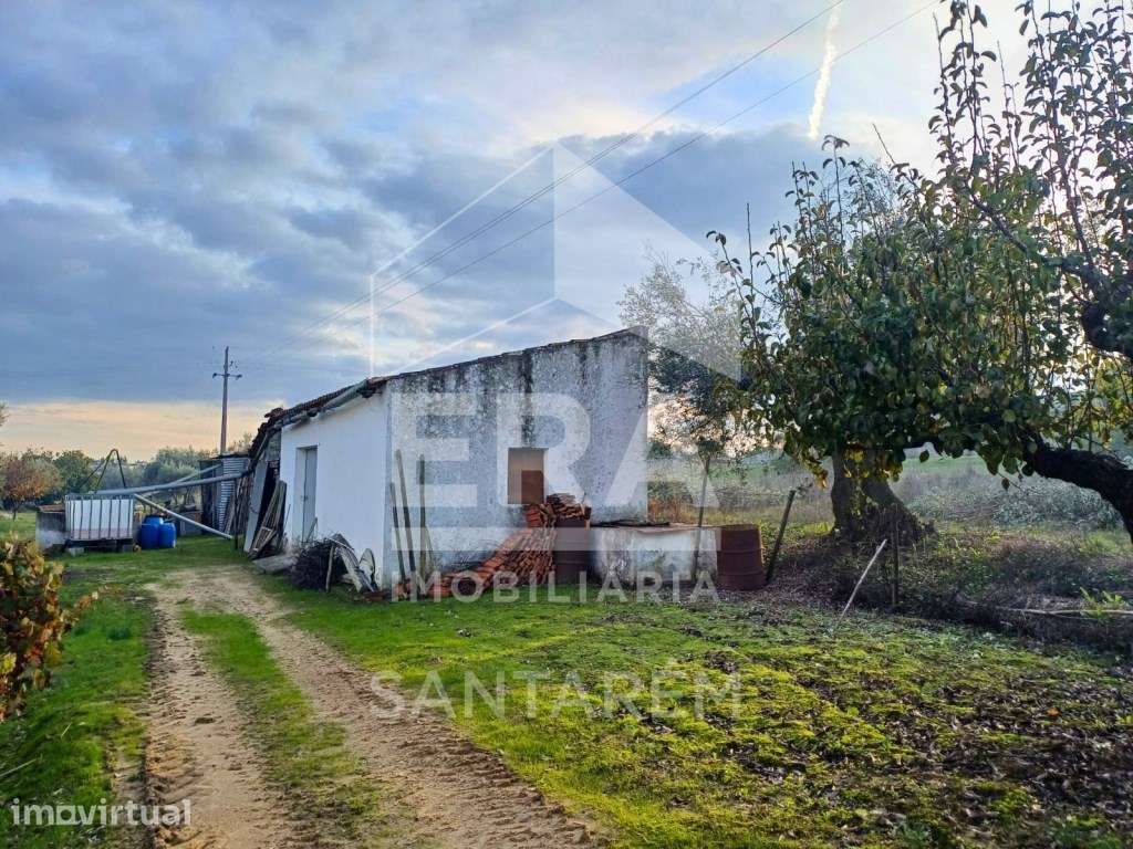 Terreno rústico em Alcanhões com 4.560 m² - Grande imagem: 4/8