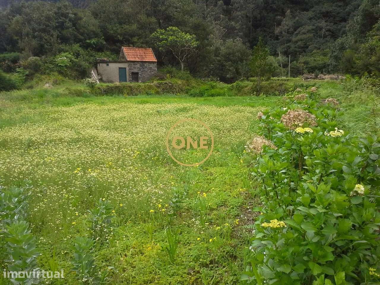 Terreno - Grande imagem: 2/7