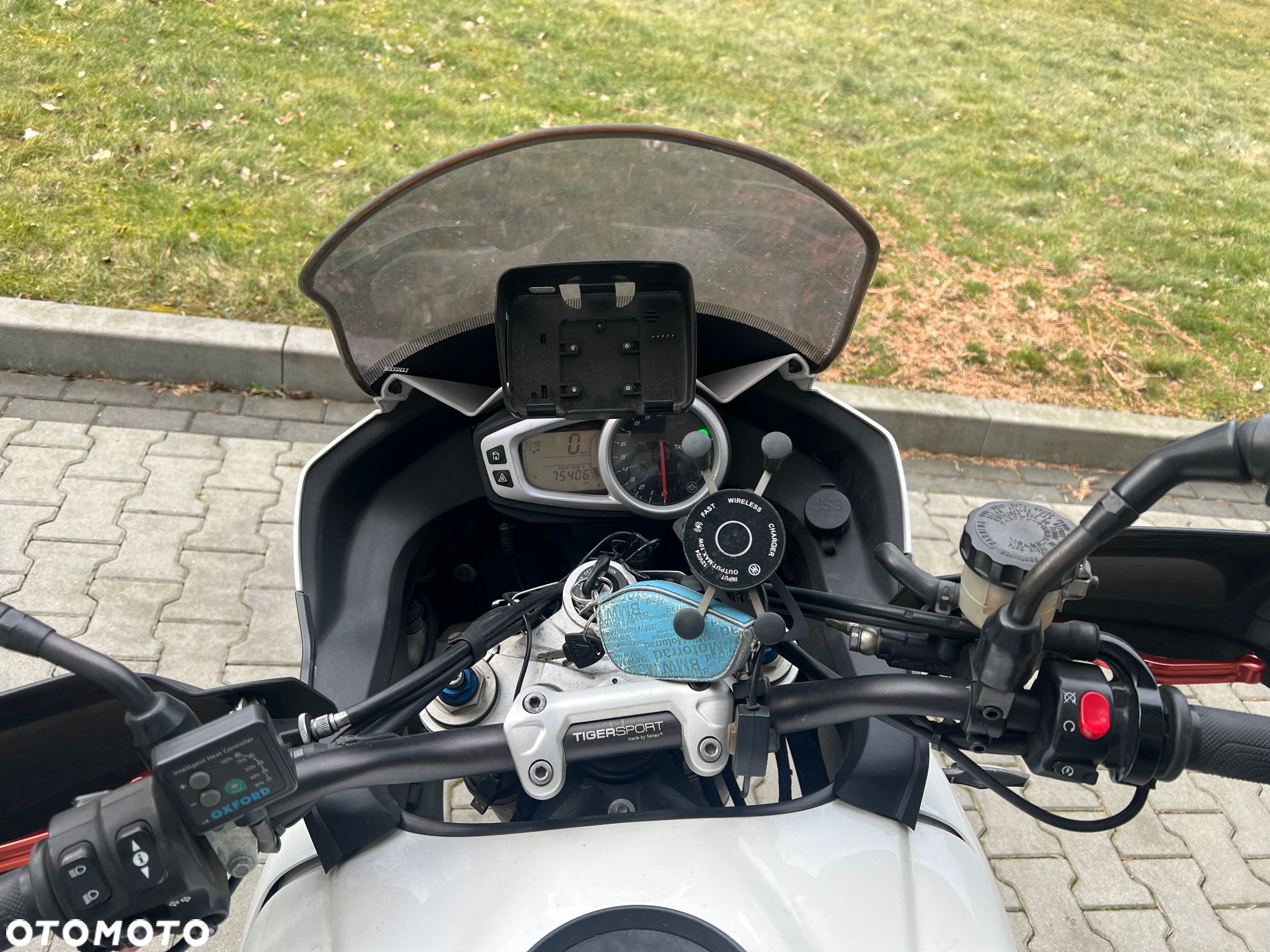 Triumph Tiger - 2