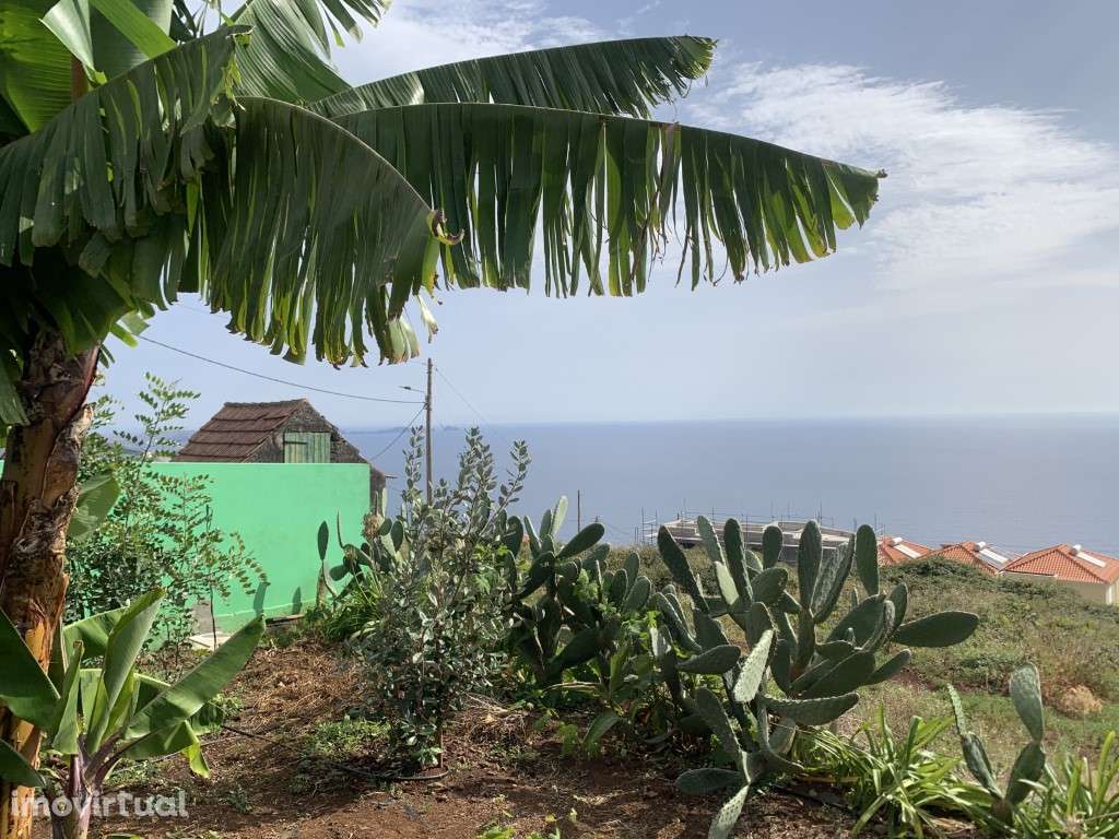 Terreno com o Projeto Aprovado e Jardim Frutífero - 2100 m², com a ... - Grande imagem: 5/11