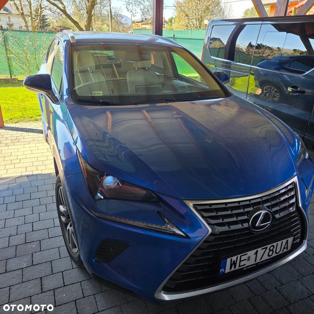 Lexus NX 300 GPF Comfort AWD - 1