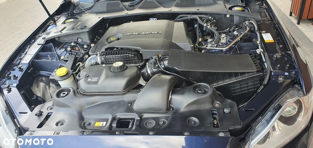 Jaguar XJ 3.0 D V6 Premium Luxury - 3