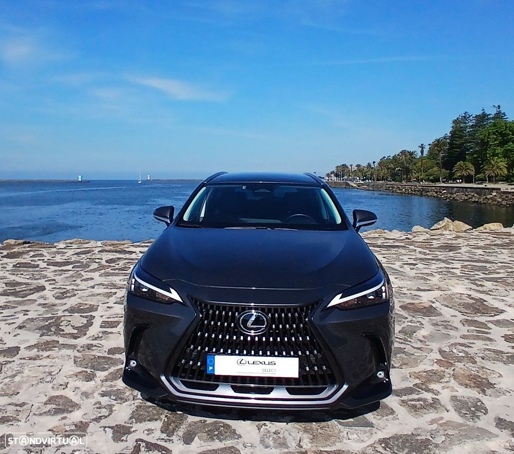 Lexus NX 450h+ - 8