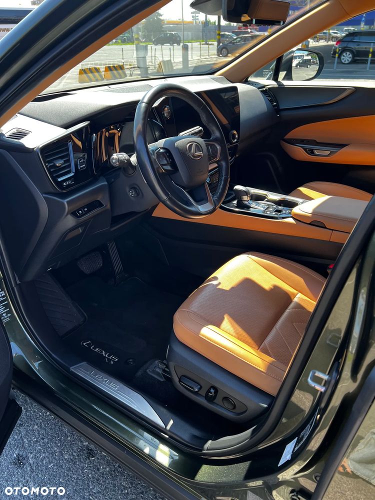 Lexus NX - 6
