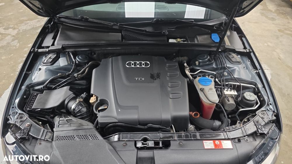 Audi A4 - 17