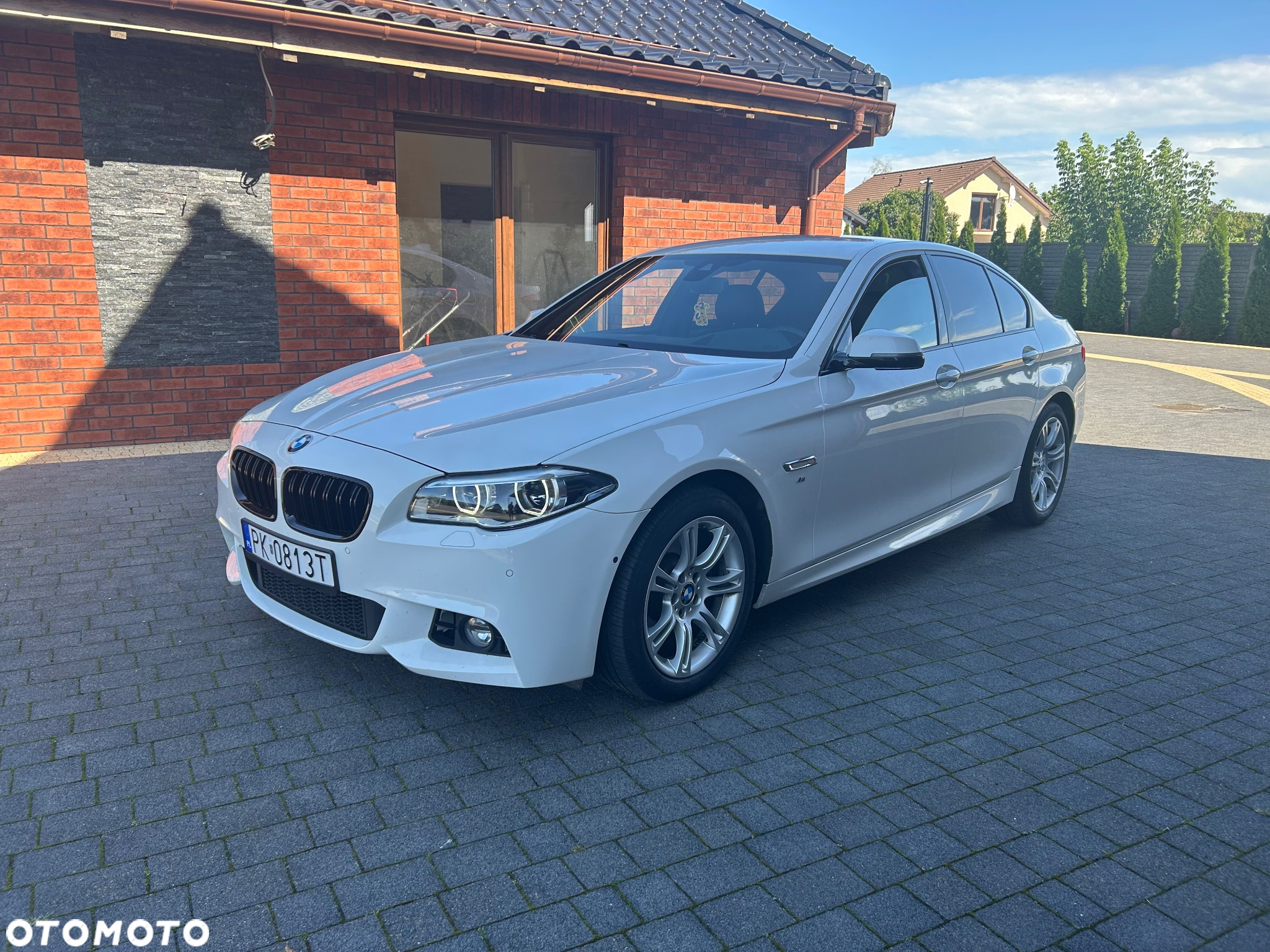 BMW Seria 5 520d xDrive - 8