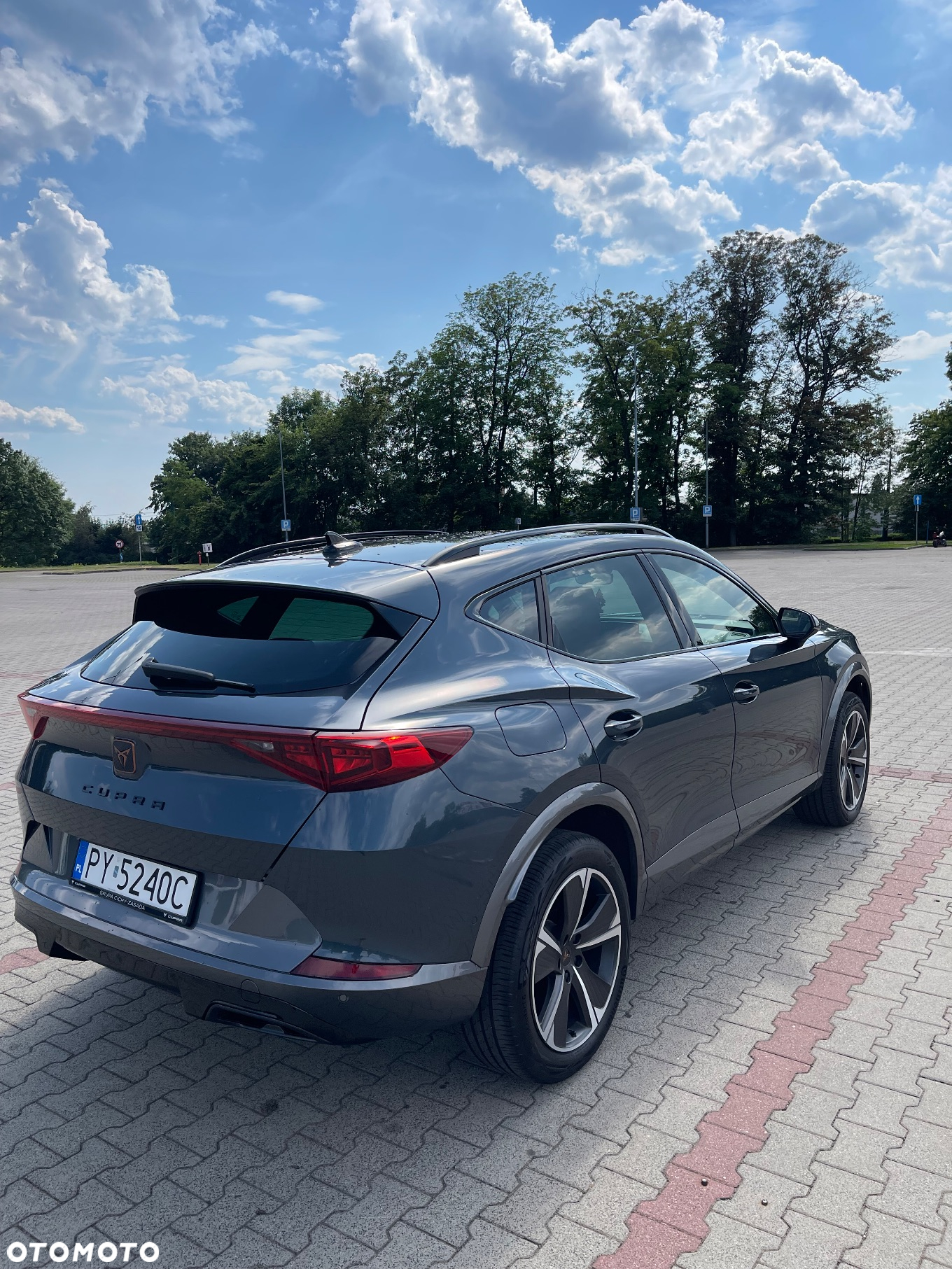 Cupra Formentor 1.5 TSI DSG - 10