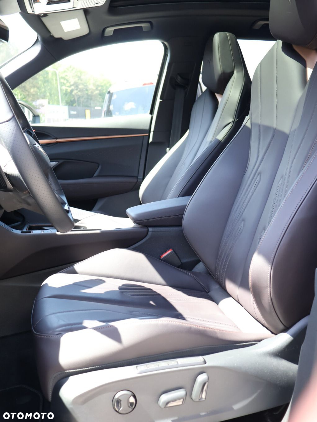 Cupra Terramar - 17