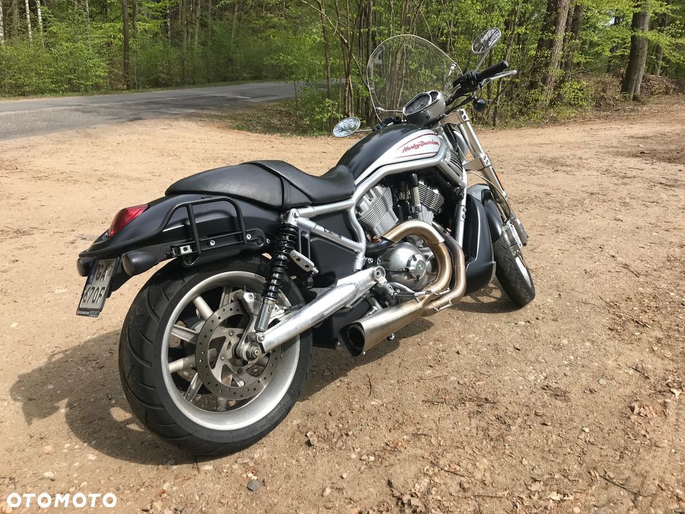 Harley-Davidson V-Rod Street Rod - 7
