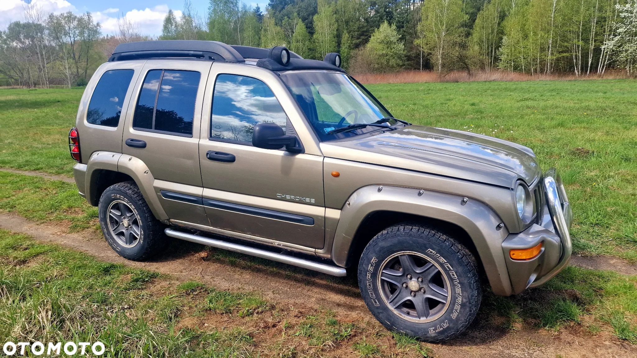Jeep Cherokee 2.8L CRD Renegade - 1