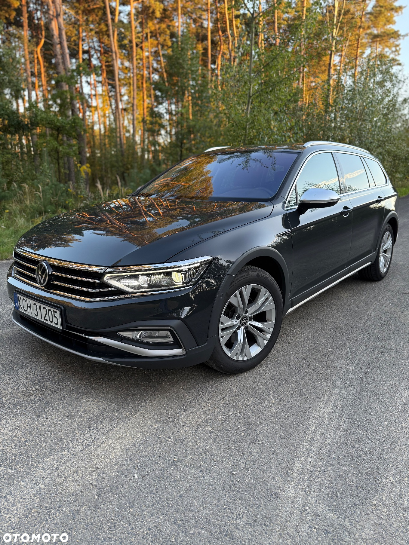 Volkswagen Passat Alltrack 2.0 TDI 4Mot DSG - 2