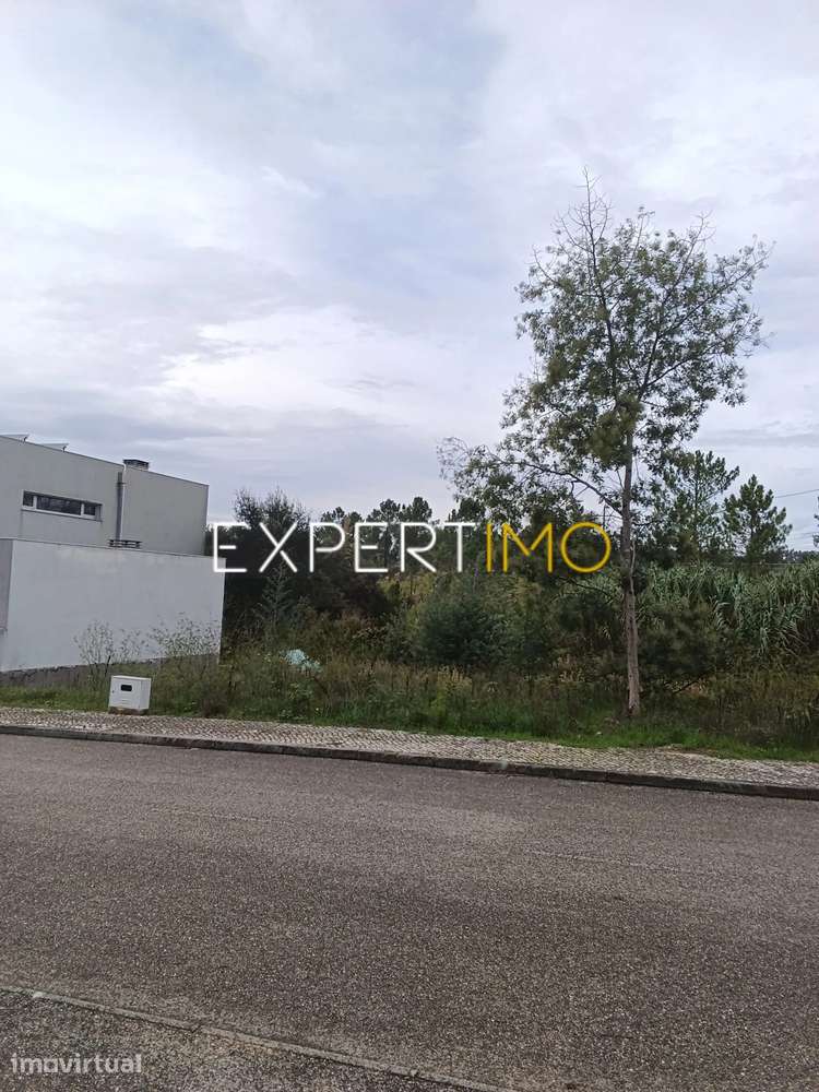 Terreno urbano para construção de Moradia Ançã/ Cantanhede/ Coimbra - Grande imagem: 3/3