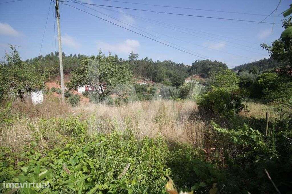 TERRENO|RUSTICO |VENDA |  EIRAS | SÃO PAULO DE FRADES | COIMBRA | INVE - Grande imagem: 5/6