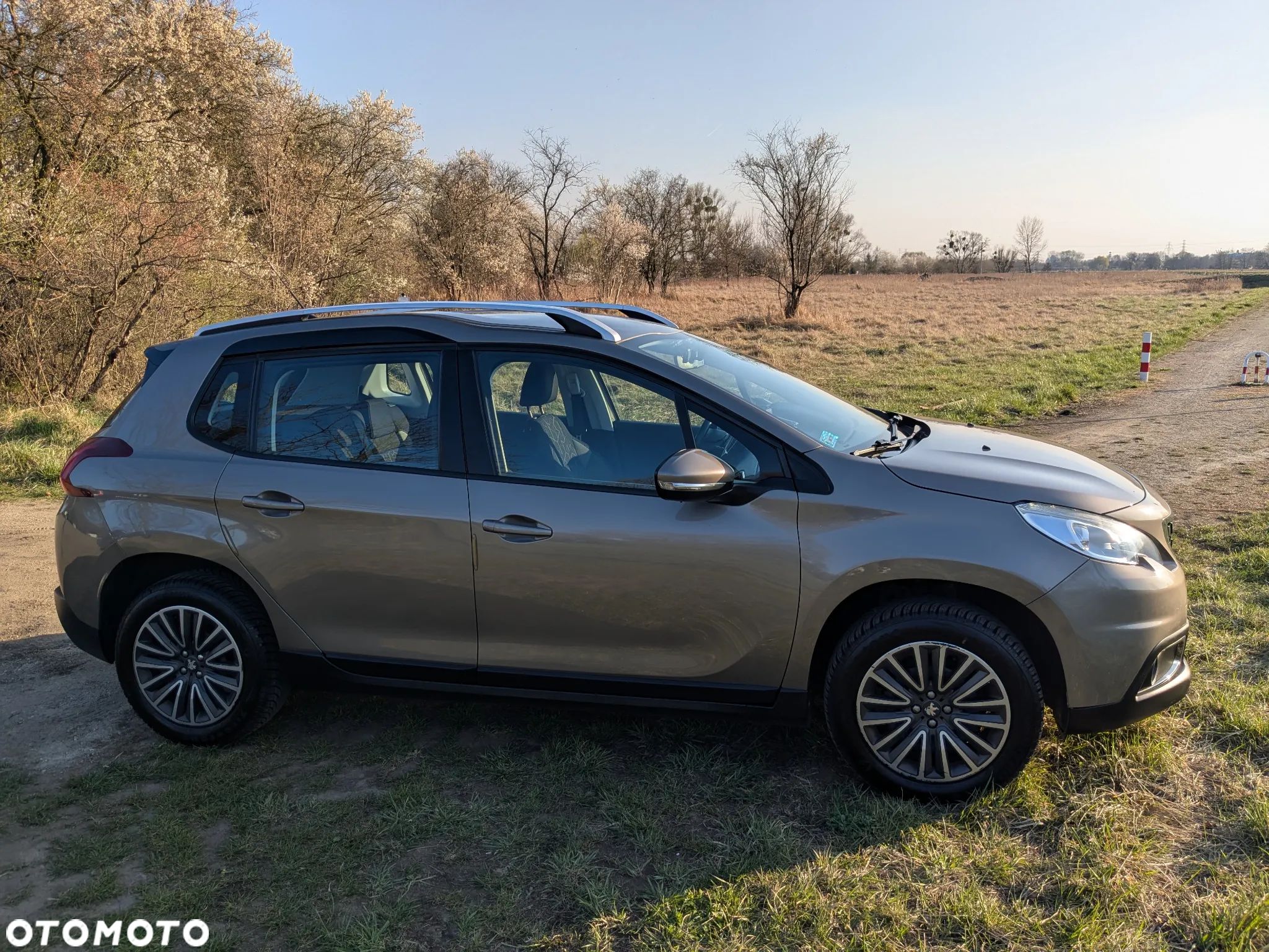 Peugeot 2008 1.2 Pure Tech Active S&S - 1