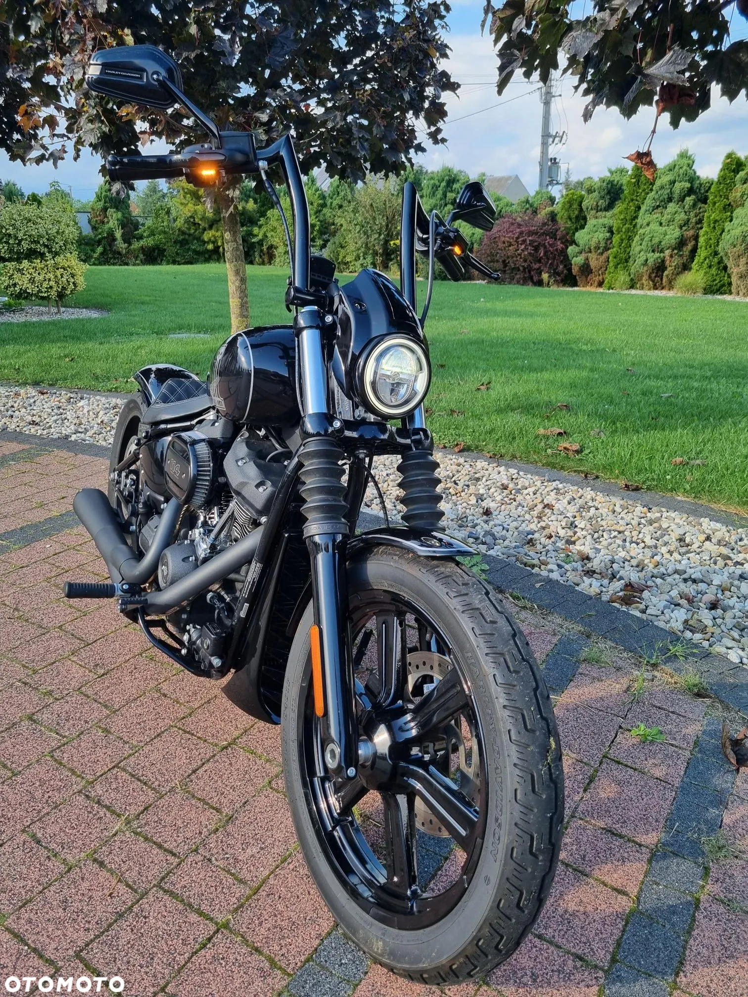 Harley-Davidson Softail Custom - 5