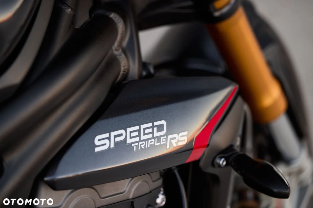 Triumph Speed Triple - 16