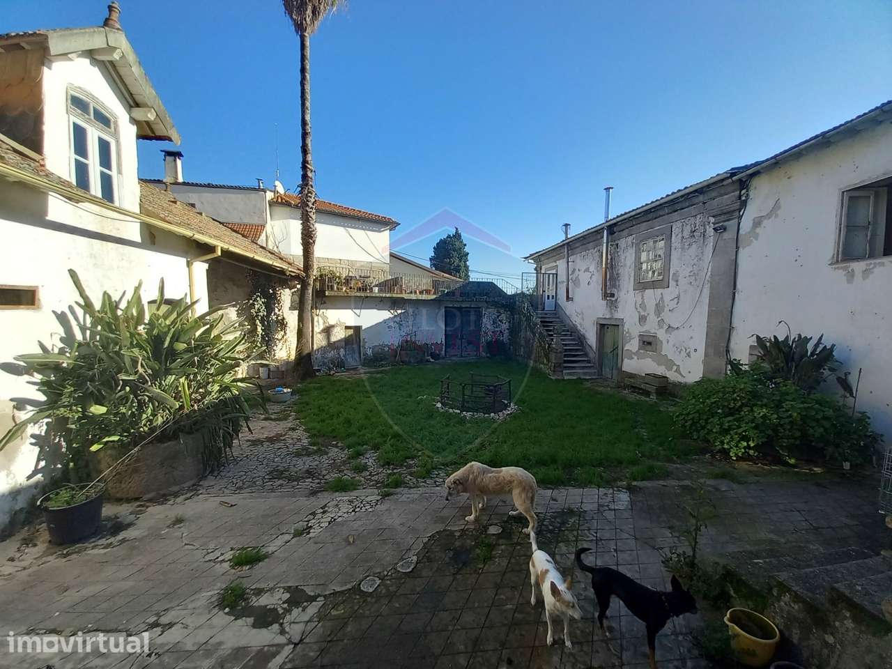 Quinta  Venda em Povolide,Viseu - Grande imagem: 5/59