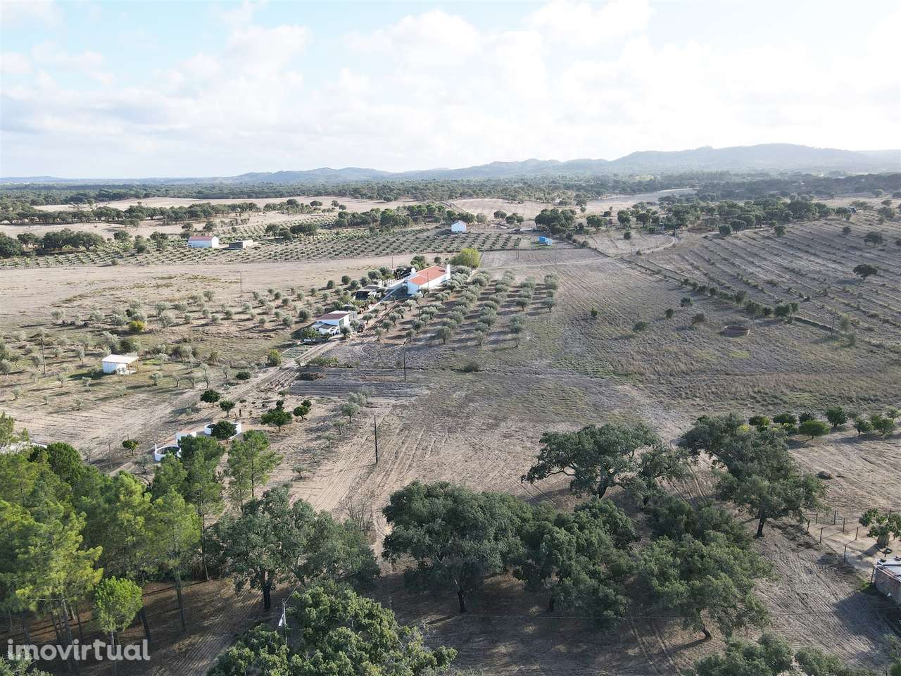 Terreno rústico Grândola - Grande imagem: 3/10
