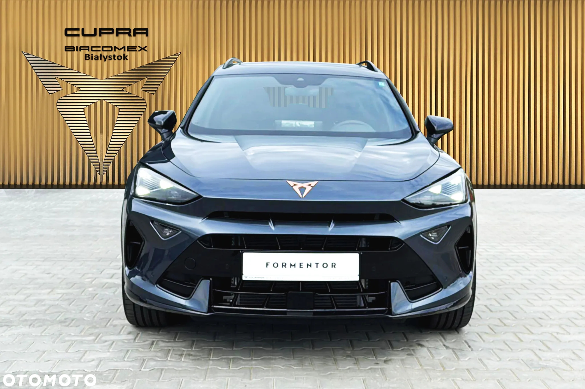 Cupra Formentor 1.5 TSI DSG - 9