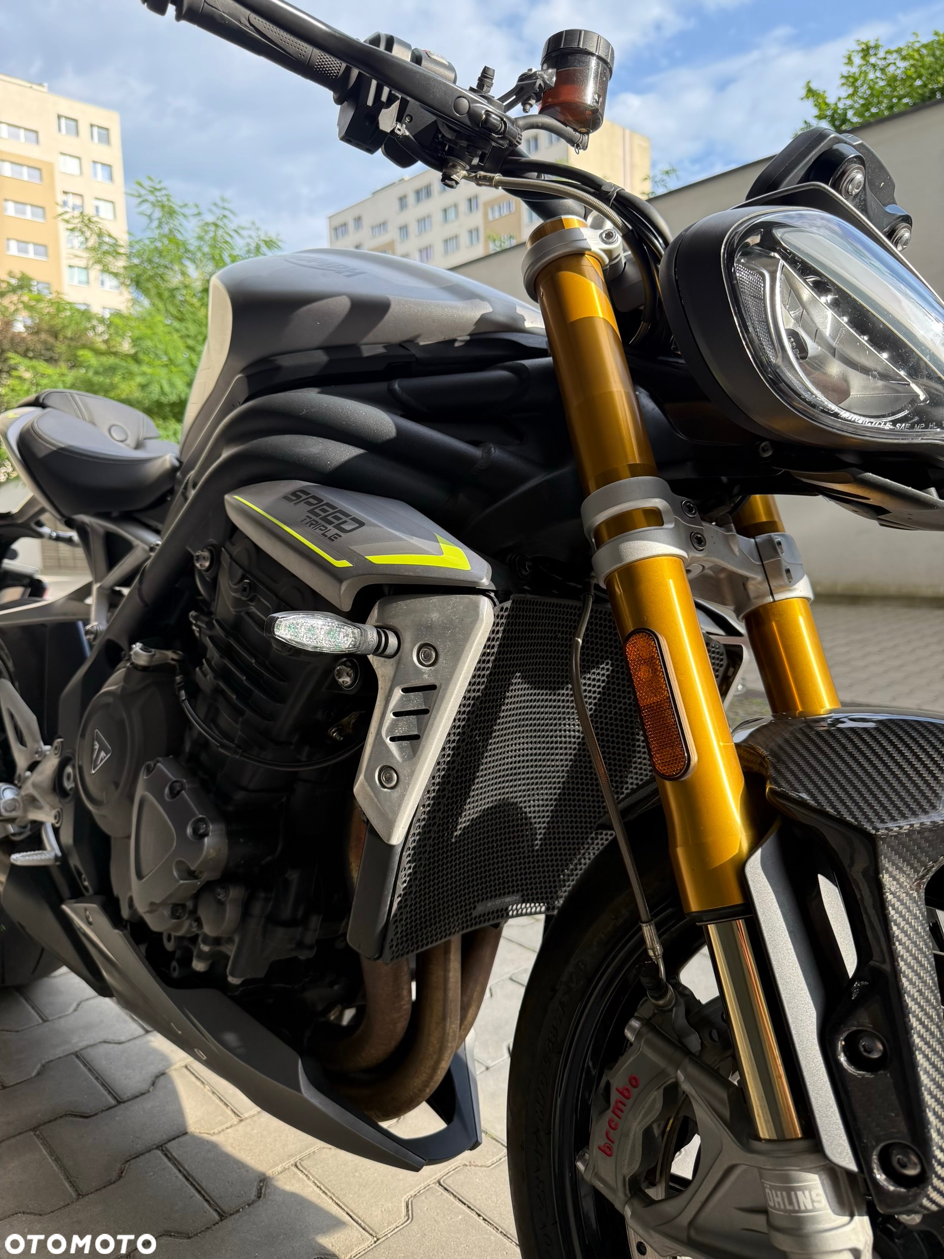 Triumph Speed Triple - 32