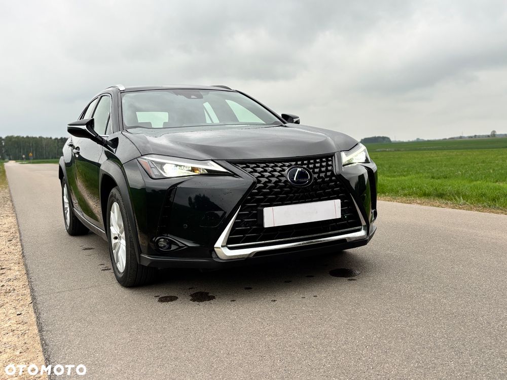 Lexus UX 250h Executive Line - 15