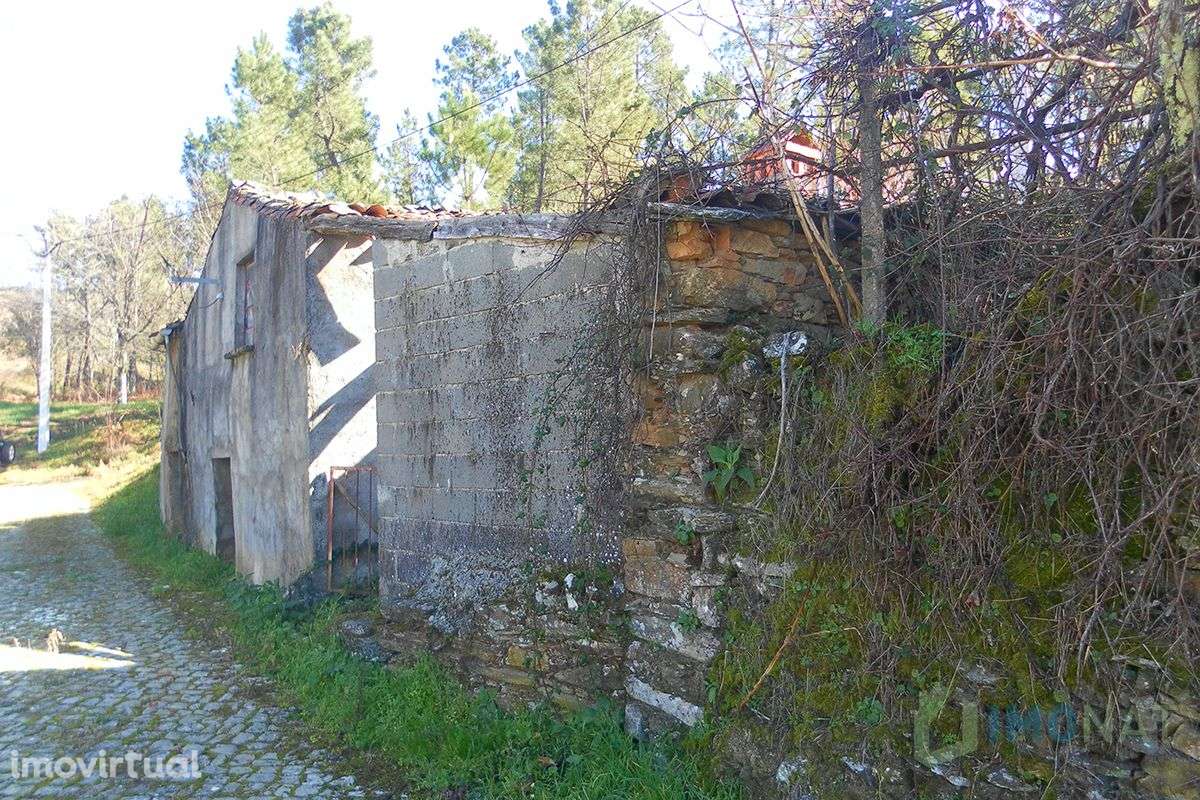 Imóvel Rural - Grande imagem: 5/37