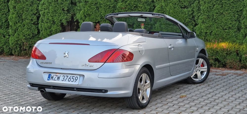 Peugeot 307 CC 2.0 - 8