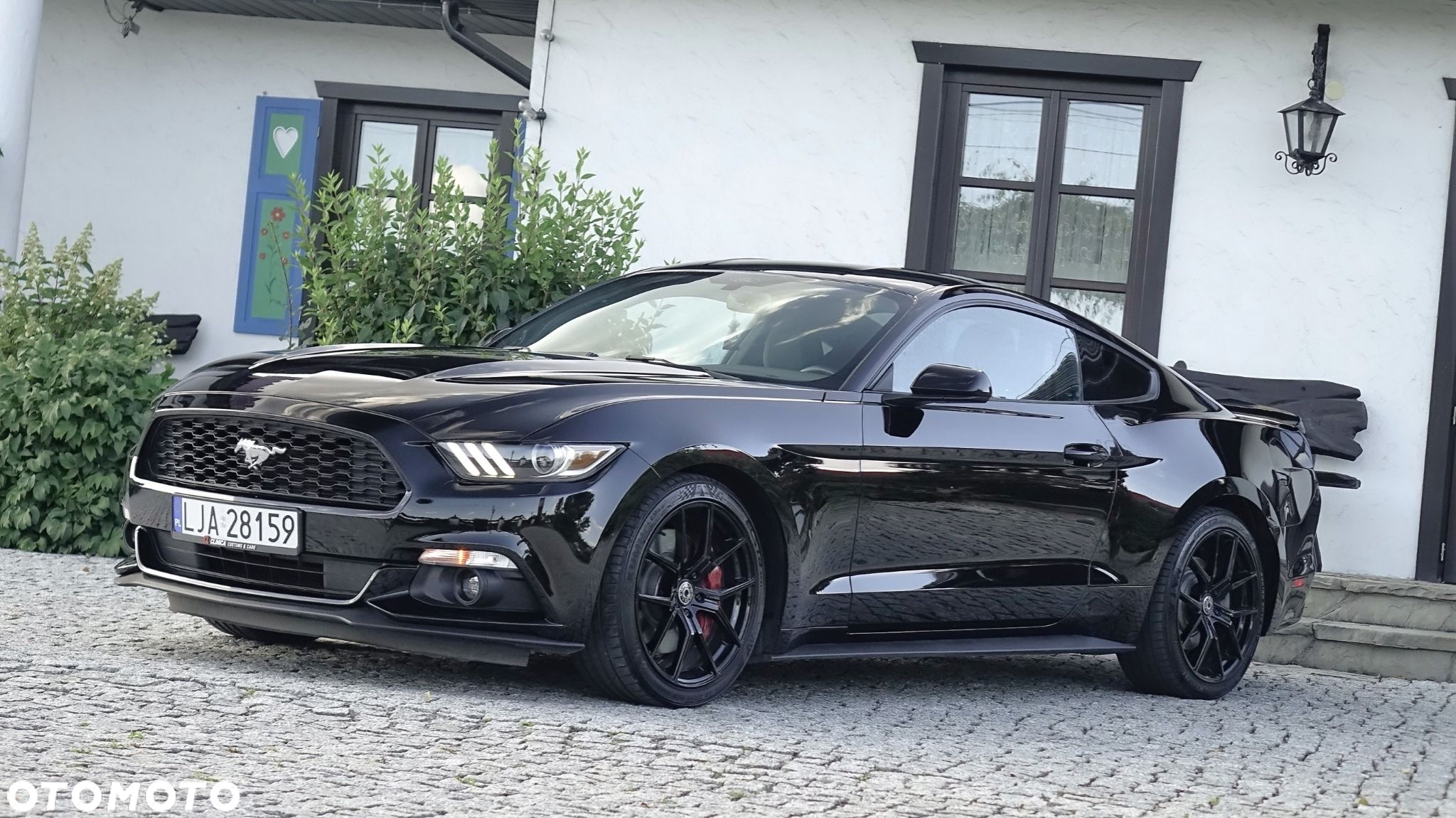 Ford Mustang - 11