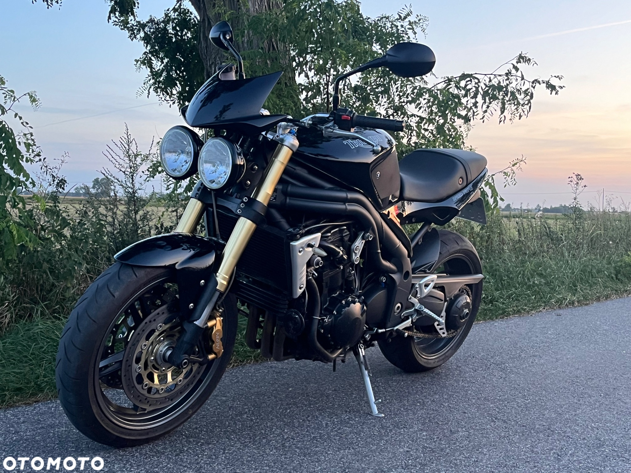 Triumph Speed Triple - 2