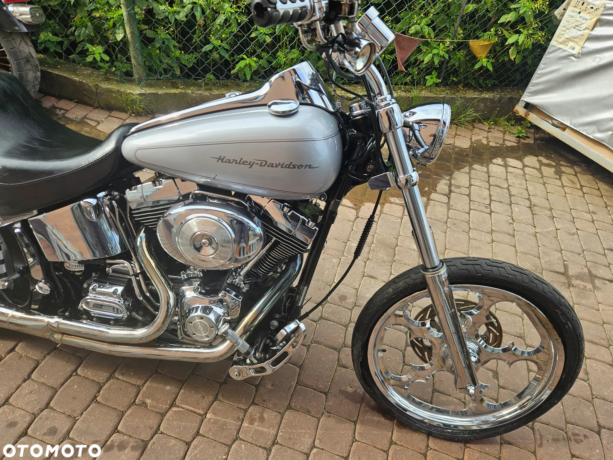 Harley-Davidson Softail Standard - 3